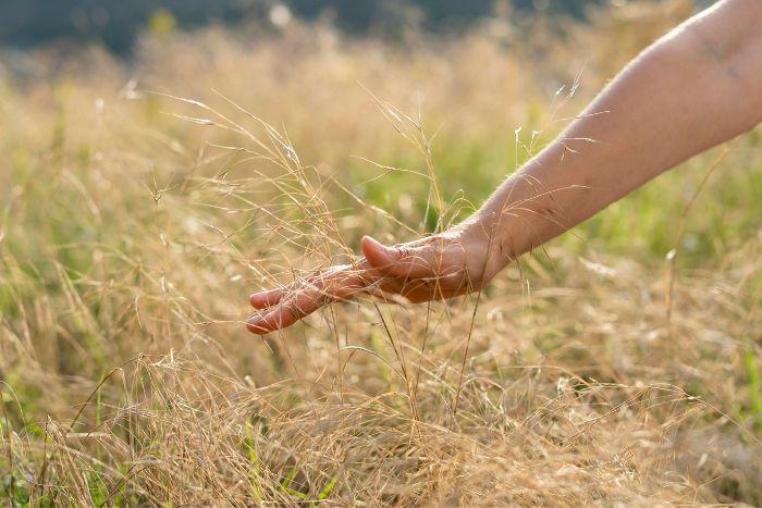 retreat -di- yoga-natura