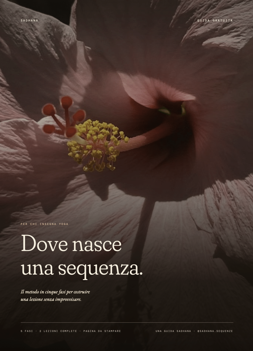 Dove nasce una sequenza